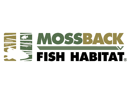 Green and black logo design